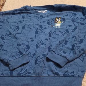 BLUEY SWEATSHIRT